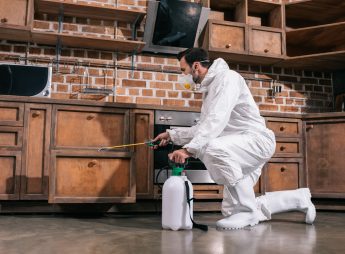 pest control worker spraying pesticides in cabinet in kitchen